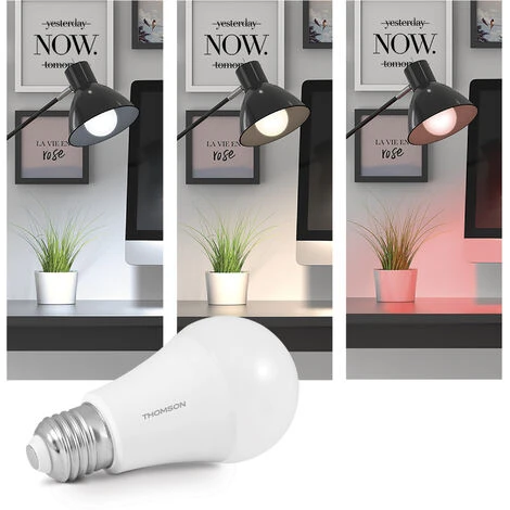 Bon marché 👏 Ampoule Connectée - THOMSON - Ambiance Blanche Et Colorée 7 W (equiv 50W) - 👏 5 Bon marché 👏 Ampoule Connectée - THOMSON - Ambiance Blanche Et Colorée 7 W (equiv 50W) - 👏 – Image 3